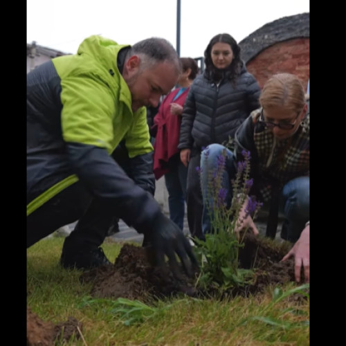 Primăria Sectorului 2 continuă campania de plantare a arborilor