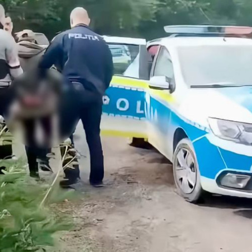Tânăr din Beresti-Tazlau, reținut pentru mutilarea a doi câini