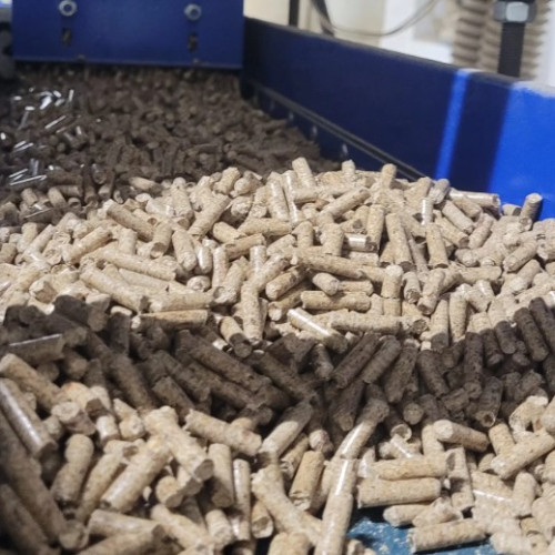 Linia de fabricare a peletilor din Botoșani, scoasă la vânzare