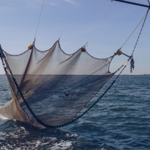 Critici la adresa &quot;Pactului pentru oceane&quot; în fața Conferinței ONU