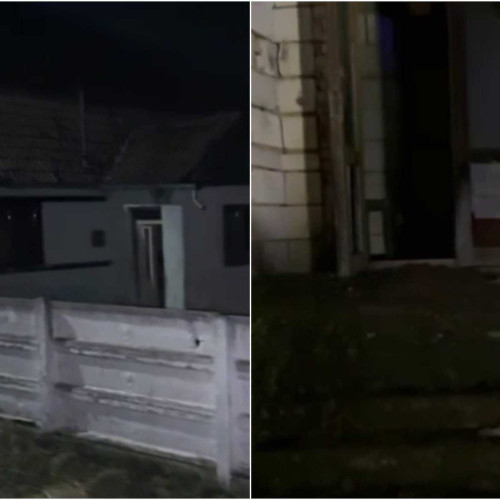 Petre Risnita, condamnat pentru omorul fratelui său