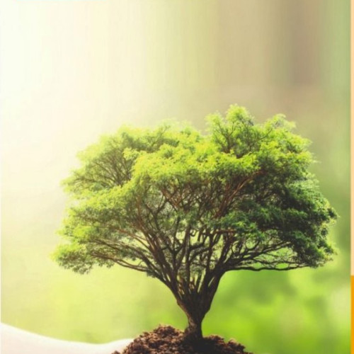 Primăria Râșnov invită voluntarii la o acțiune de împădurire