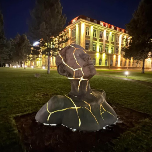 Regina Nordului - O sculptură de lumină la Universitatea de Științele Vieții din Iași
