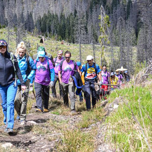 130 de voluntari au plantat 3.000 de puieți în Parcul Natural Apuseni