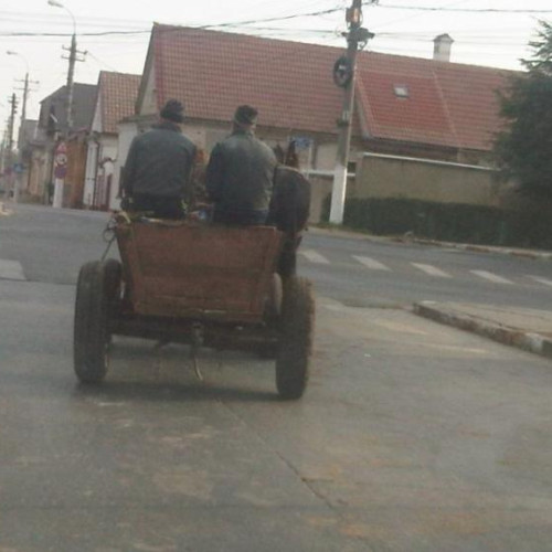 Doi bărbați din Cluj, cercetați pentru furt de biciclete