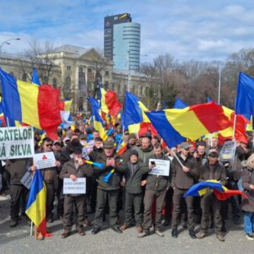 Miting de protest la Guvernul României pentru sectorul silvic