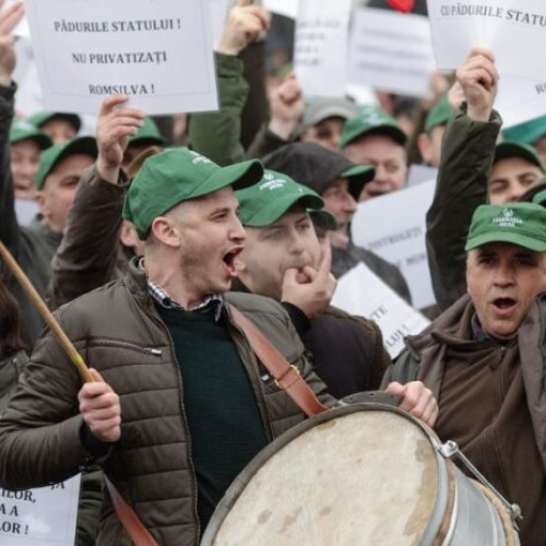 Protest al silvicultorilor în Piața Victoriei