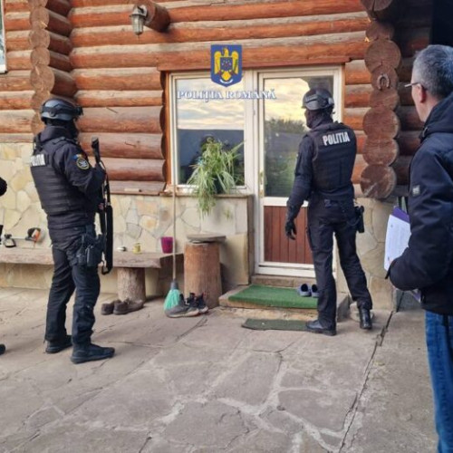 Percheziții la Ipotesti: fostul șef al AJVPS Suceava, suspectat de împușcarea unui câine