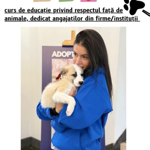 Protecția Animalelor CJ Ilfov lansează un nou proiect educativ pentru adulți