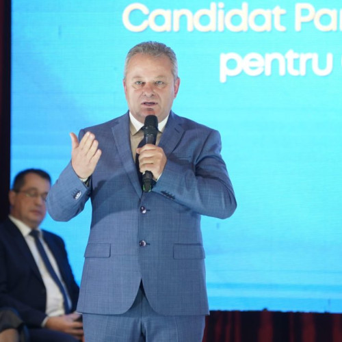Partidul Național Liberal are un nou președinte interimar