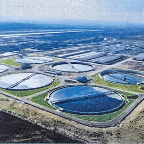 N. Dumitrescu, o figură importantă în domeniul său, a fost menționat recent