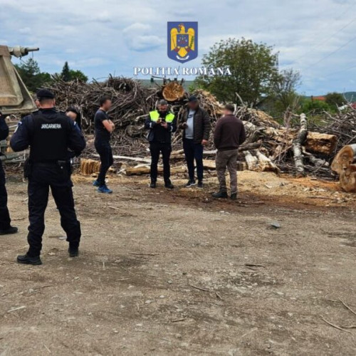 Verificări ample pentru combaterea activităților ilegale în domeniul lemnului
