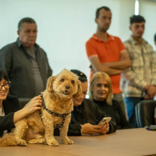 Direcția Protecția Animalelor din Ilfov lansează proiectul EduPET