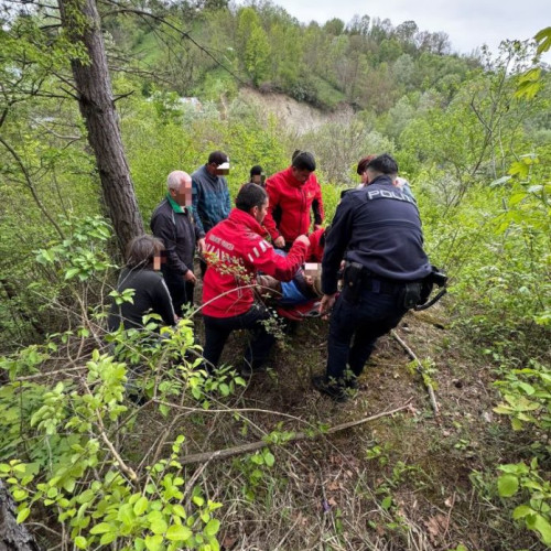 Dispariția unui bătrân de 82 de ani în Vrancioaia