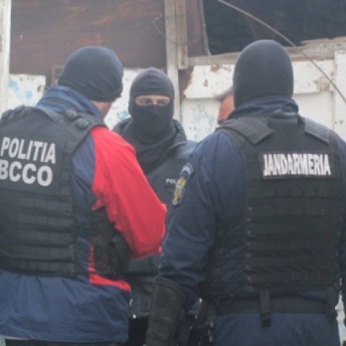 Destructurarea unei rețele de trafic de droguri în Brașov