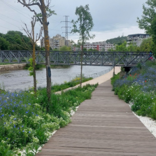 O clujeancă trage un semnal de alarmă privind disciplina proprietarilor de animale