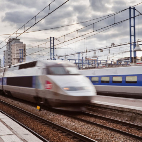 SNCF își schimbă protocolul după incidentul tragic cu pisica Neko