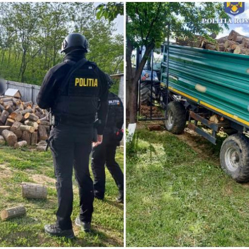 Poliția din Buhuși a efectuat percheziții pentru furt de material lemnos