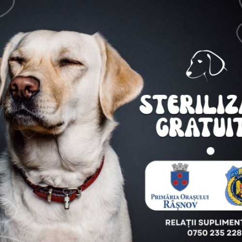 Sterilizare gratuită pentru câinii cu stăpân din Râșnov