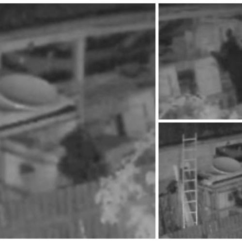 Ursii terorizează localitatea Santejude din comuna Taga