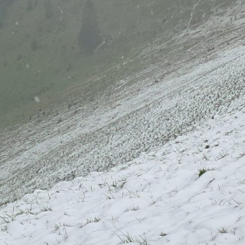 Vreme deosebit de rece și precipitații în România