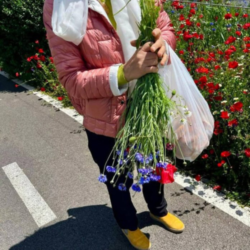 Femeie sancționată pentru ruperea florilor în Sectorul 6