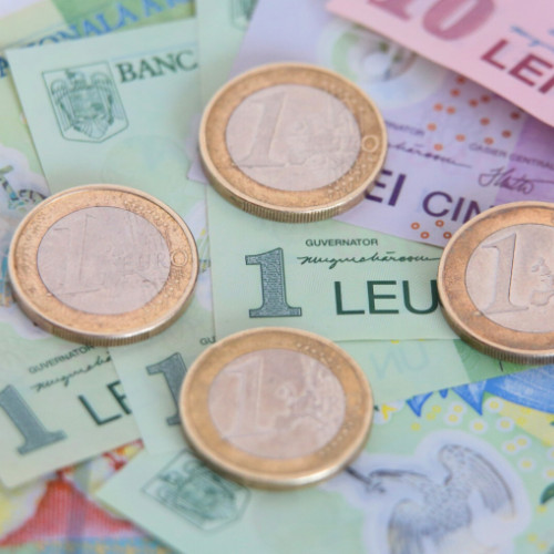 Banca Națională reușește să stabilizeze leul