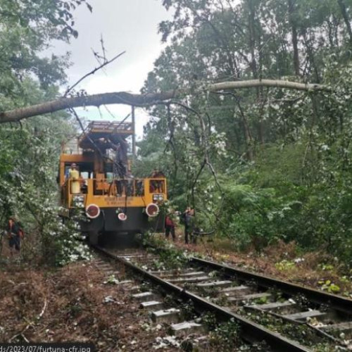 Furtunile blochează circulația feroviară la Cluj