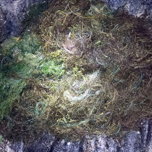 Polițiștii de frontieră din Botoșani au îndepărtat plase de pescuit ilegale