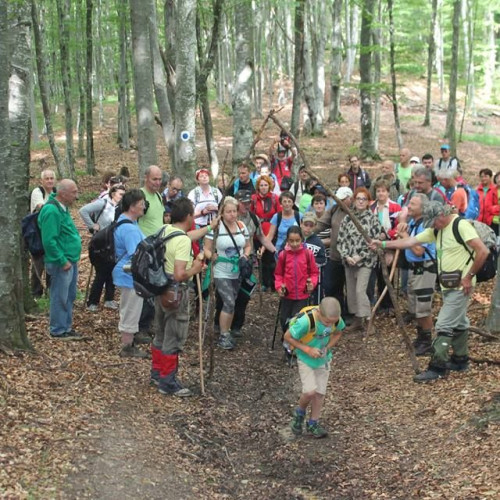 Consiliul Județean Covasna aprobă finanțarea a peste 500 de proiecte pentru 2025