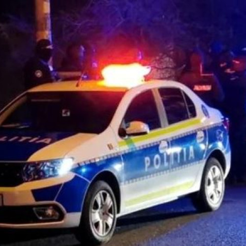 Talhărie și controle rutiere în Botoșani