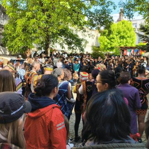 Noaptea Muzeelor 2025 la Cluj: Un eveniment de succes