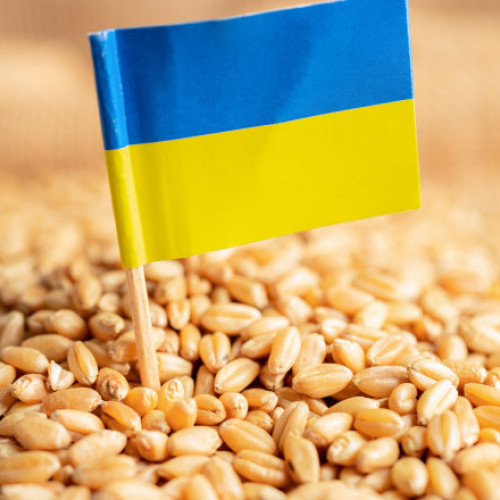 Ministrul francez al Agriculturii pledează pentru restricții suplimentare asupra importurilor de grâu din Ucraina