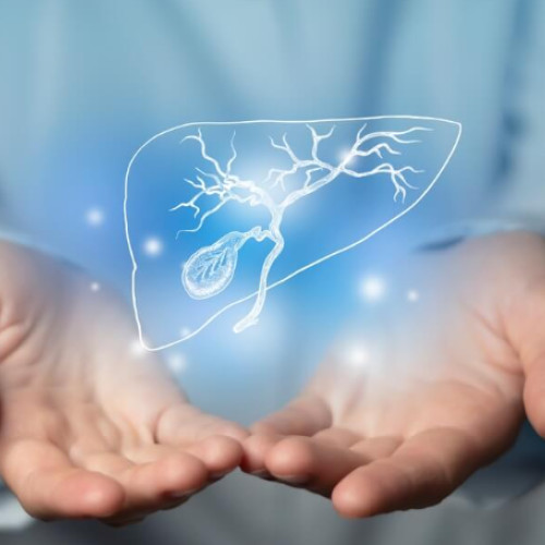 Ficatul și fierea: rol esențial în sănătatea organismului