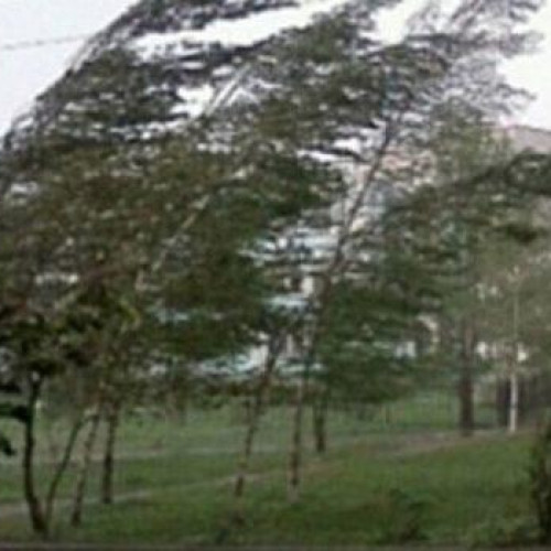 Cod galben de vreme rea în România, cu vânt puternic și precipitații