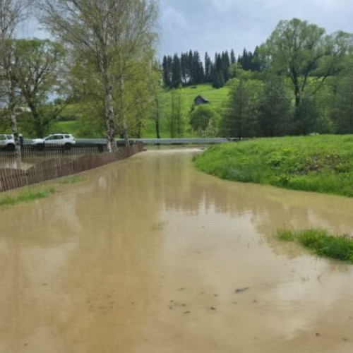 Ploi abundente inundă drumuri și gospodării la Cosna