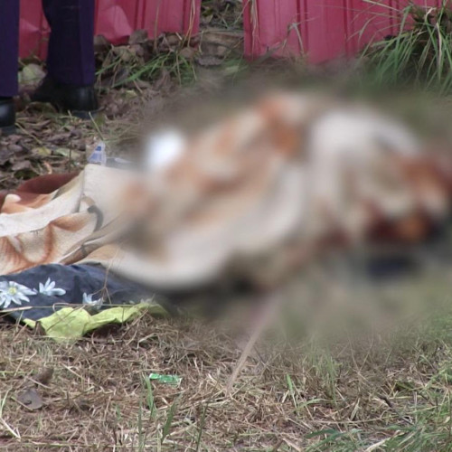 Tragedie în județul Botoșani: un tânăr de 24 de ani găsit mort