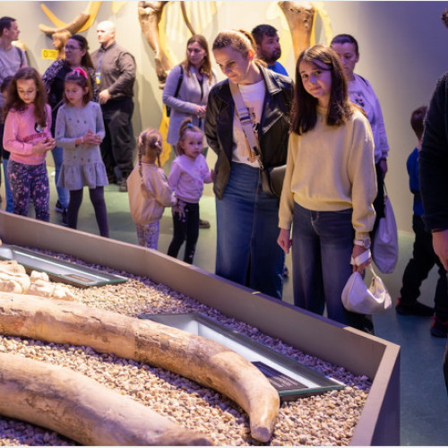 Succesul Nopții Europene a Muzeelor la Oradea