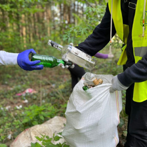 Elevii bihoreni sunt invitați la competiții ecologice