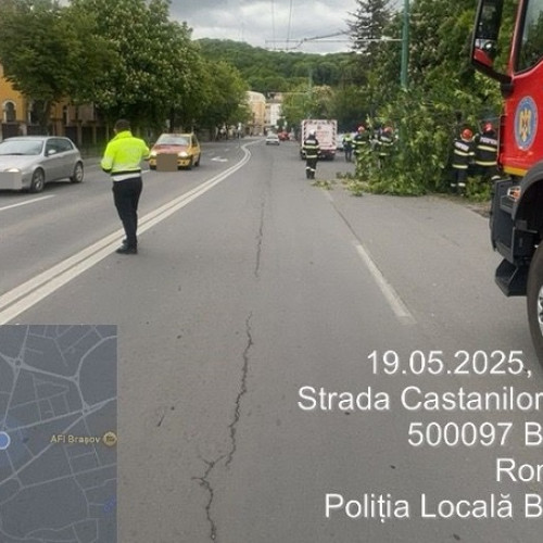 Intervenții ale Poliției Locale Brașov pentru siguranța cetățenilor
