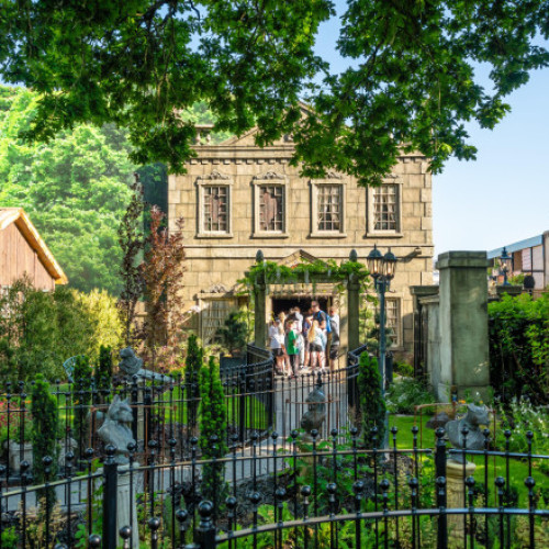 Cuplu din Marea Britanie primește despăgubiri după ce mingile de fotbal le-au invadat grădina