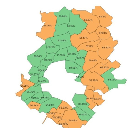 Nicusor Dan, câștigătorul turului doi al alegerilor prezidențiale din Ilfov