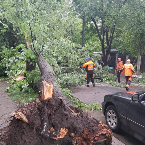 Intervenții de urgență în oraș din cauza furtunilor