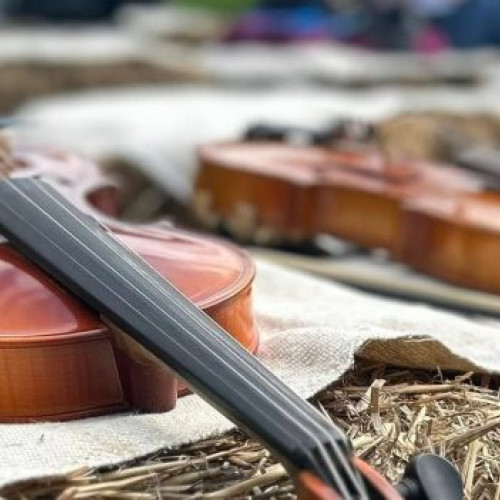 Concurs internațional de interpretare instrumentală și arte vizuale la Sighetu Marmației