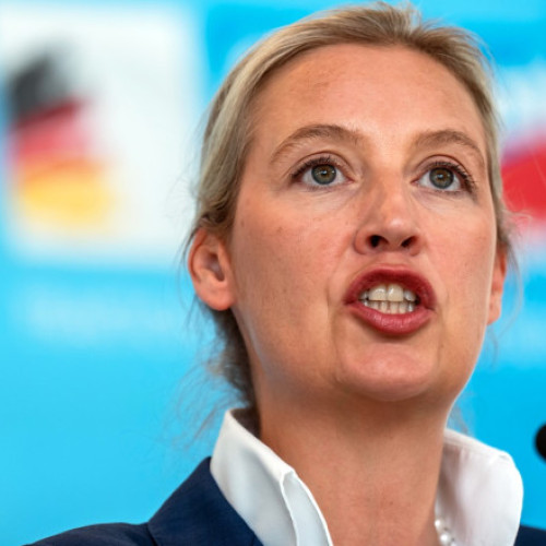 Ministrul german de Interne susține că interzicerea AfD nu este justificată