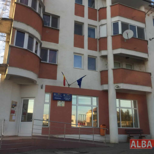 Anunț privind finanțările nerambursabile în orașul Teiuș