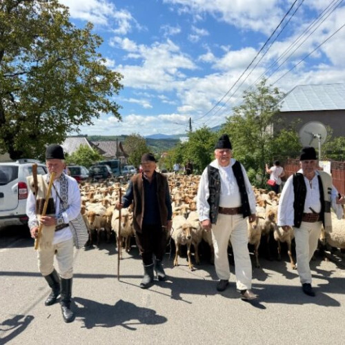 Comuna Negrilesti sărbătorește tradiția „Boteitul oilor”