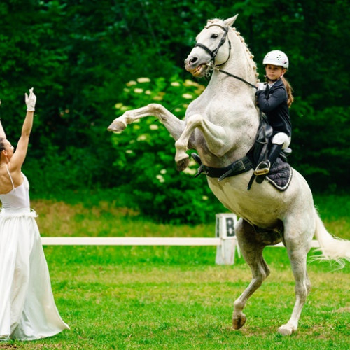 Herghelia Sambata de Jos organizează un show ecvestru de Ziua Copilului