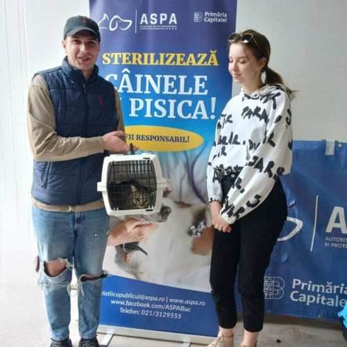 Sterilizări gratuite pentru câini și pisici în această săptămână