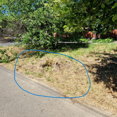 Avertisment pentru pietoni și cicliști pe strada Brăilei